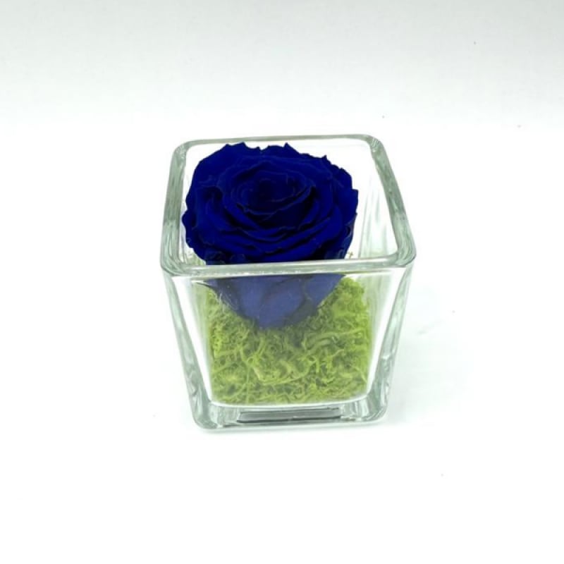 Mini Royal Blue C
